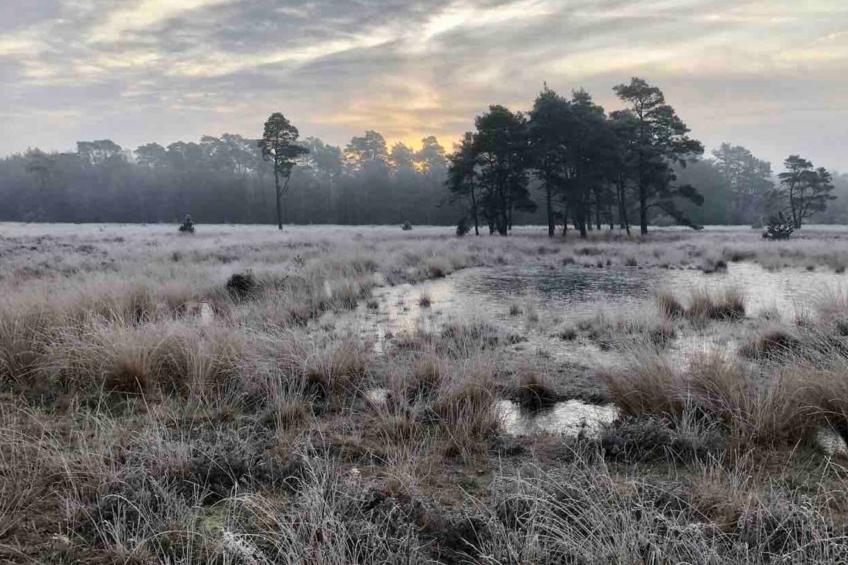 De Douglas - foto 29