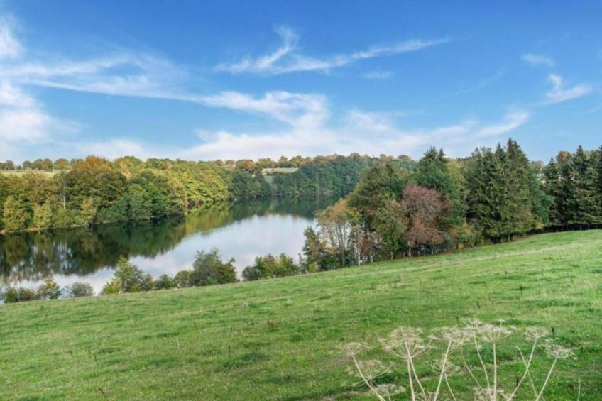 Dreamer 49 - foto 29