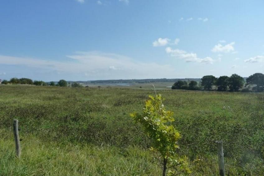 An den Tannen 31 - foto 23