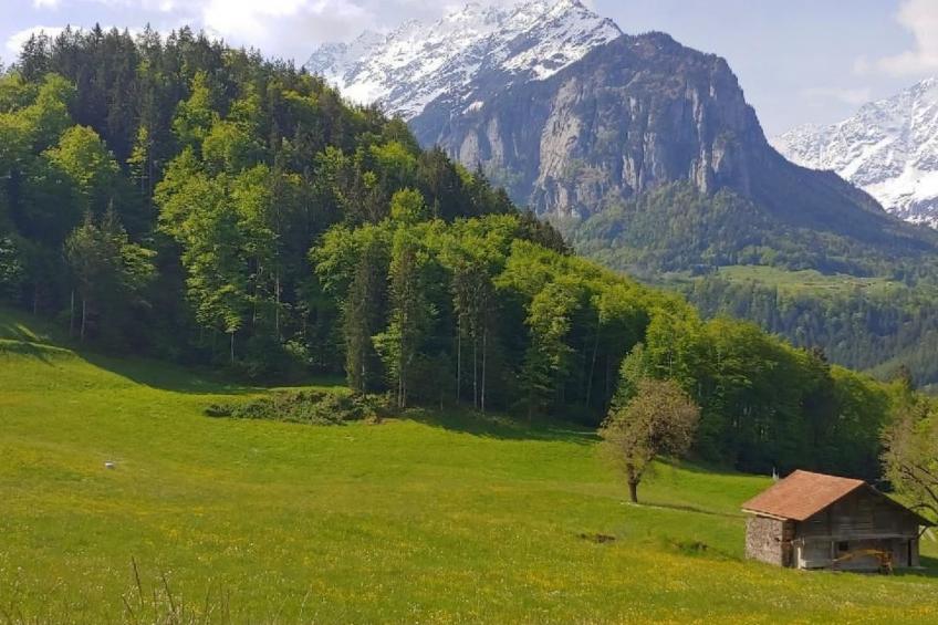 Wohnung mit 3 Schlafzimmern “Wylerdümen” - foto 12