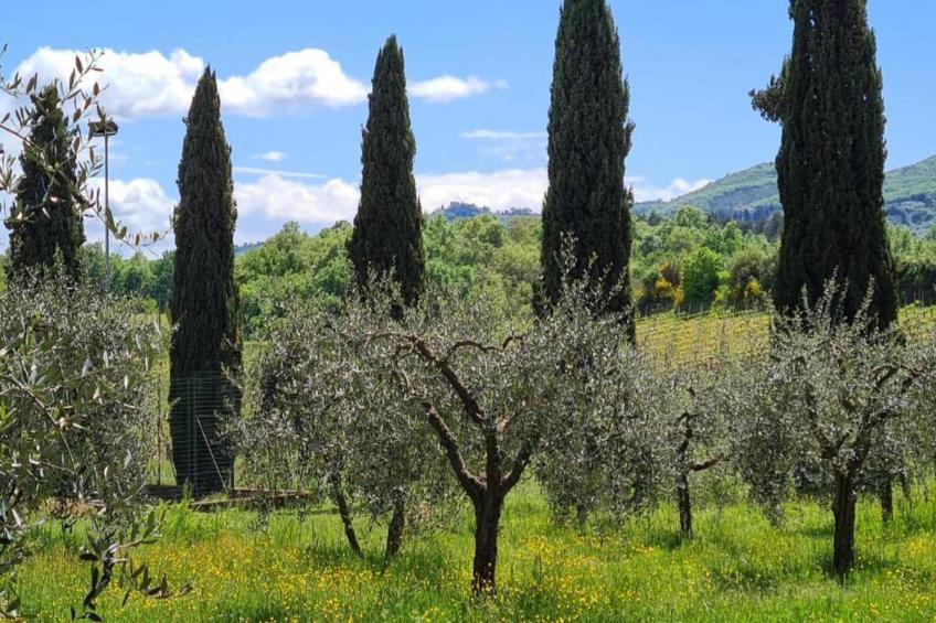 il Coppo - foto 40