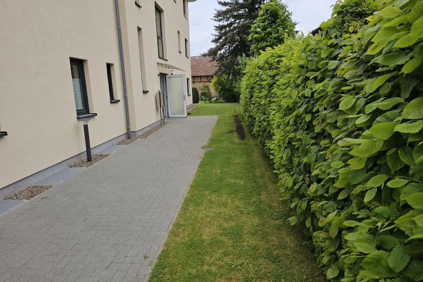 FeWo Lüneburger Heide - Krümel - foto 23