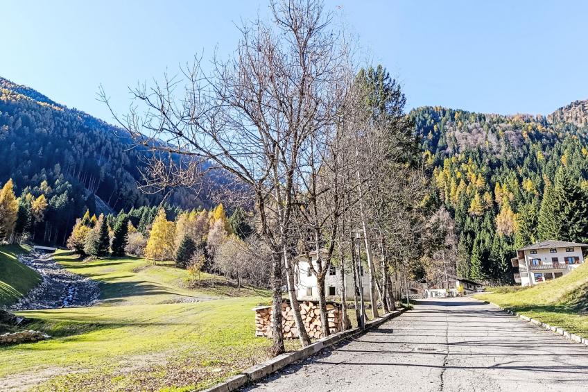 Maset Pozzati - foto 6