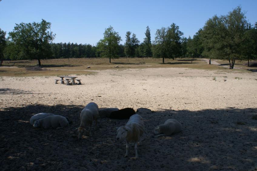 Geschmackvoll eingerichtetes Bauernhaus aus dem 19. - foto 43