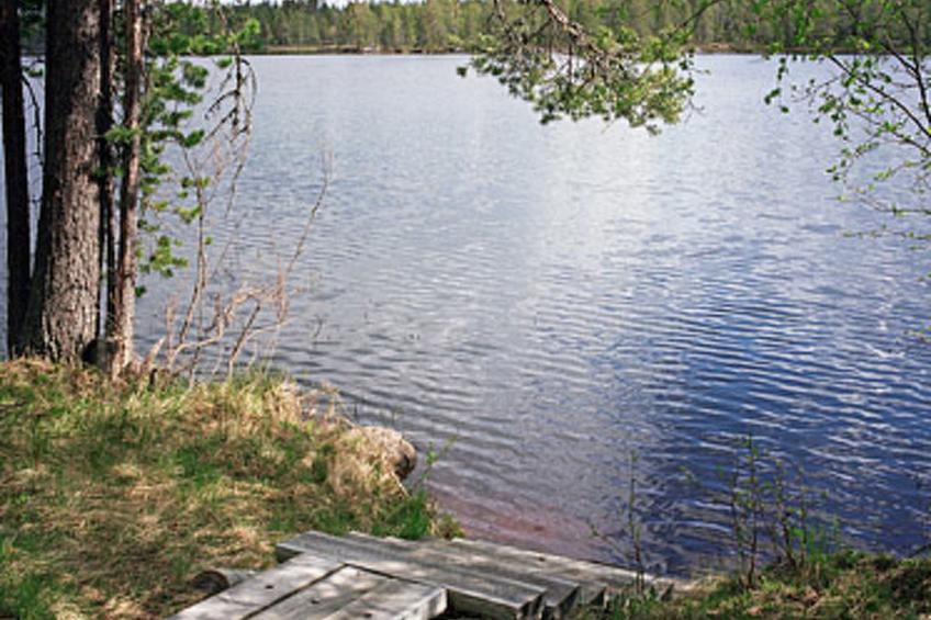 Mustikkainen - foto 6