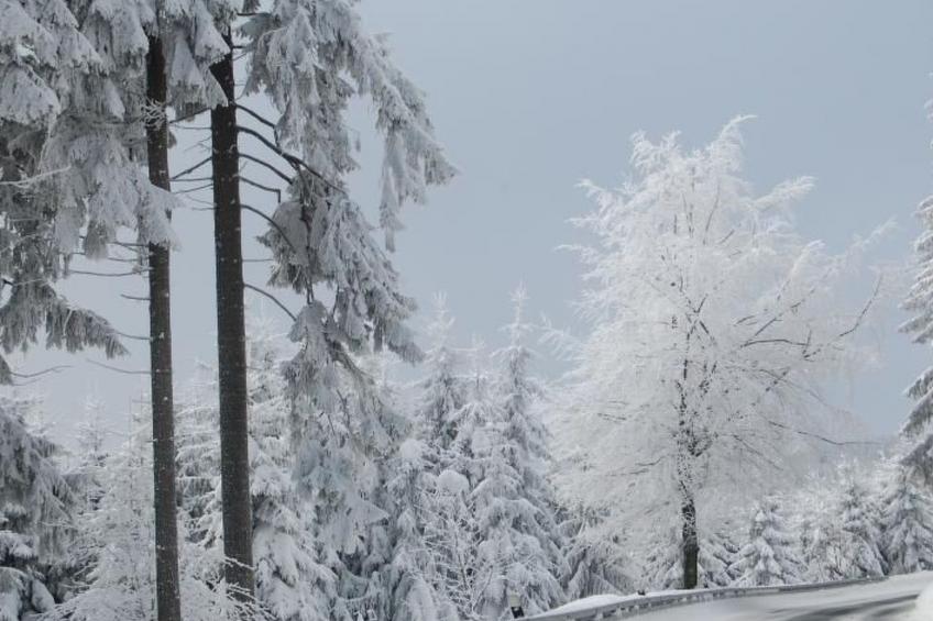 Thüringer Landhaus - foto 19
