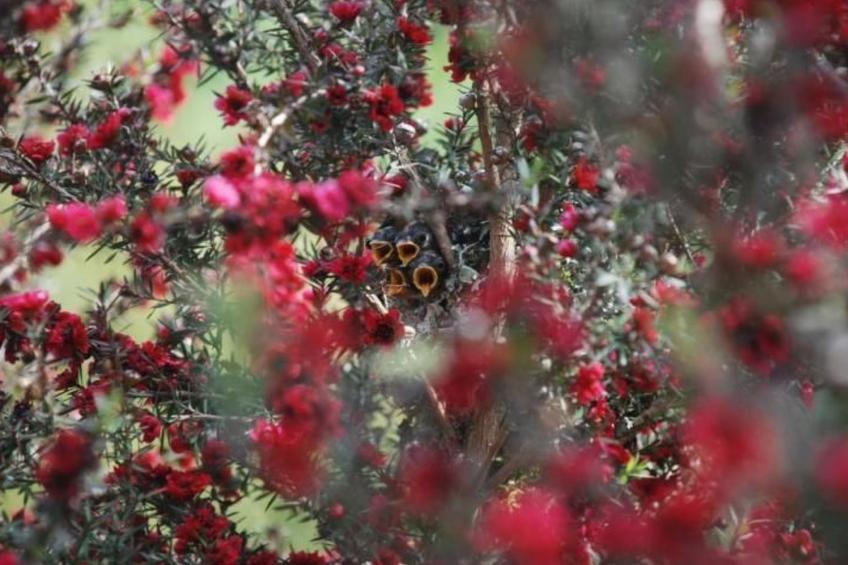 NATUR IN IHRER REINSTEN FORM - foto 24