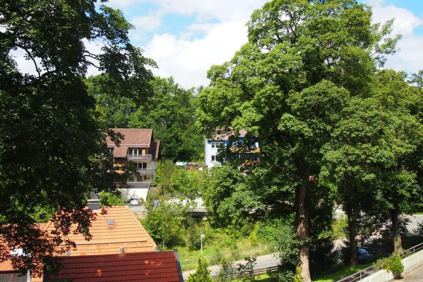 Gesamte Wohnung in Sankt Andreasberg mit Grill - foto 14