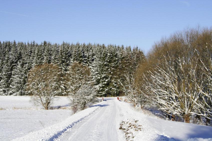 Hexenzauber I und II - foto 59