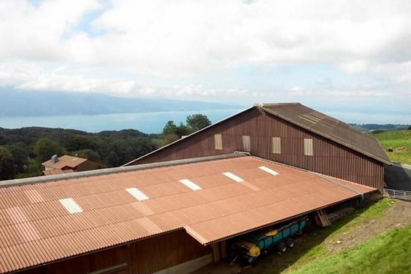 Studio in renoviertes Bauernhaus (3 Pers.) - foto 4