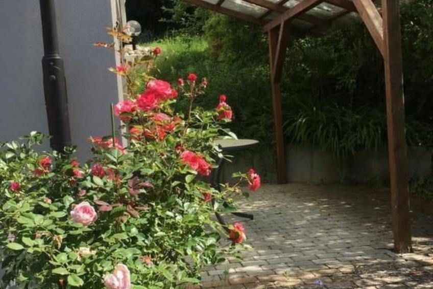 am Kirschbaum - foto 7