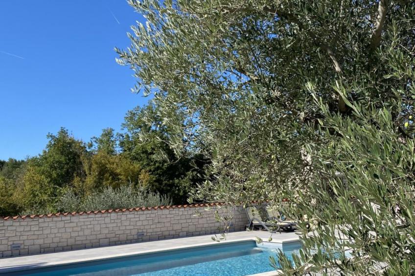 Villa Mali Raj - foto 10