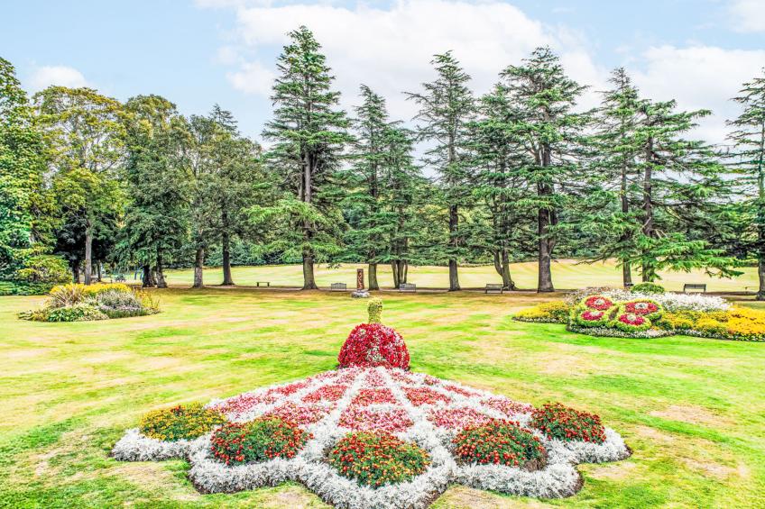 Varis Haven - foto 41