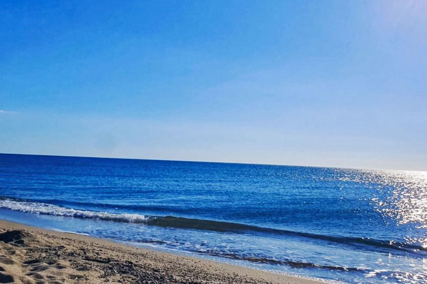 Aubépines - foto 32