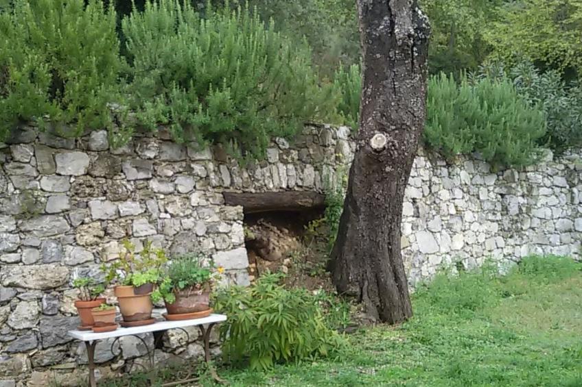 Kleines feines helles Appartment im Gruenen mit Meerblick - foto 19