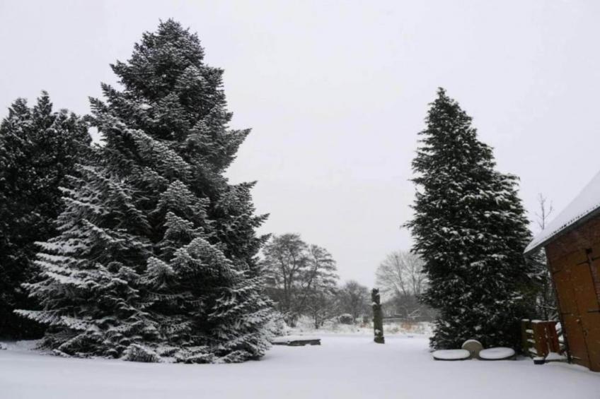 Feriendorf Natur pur - foto 35