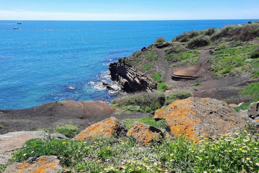 Résidence NATURISTE LA PALMERAIE - foto 29
