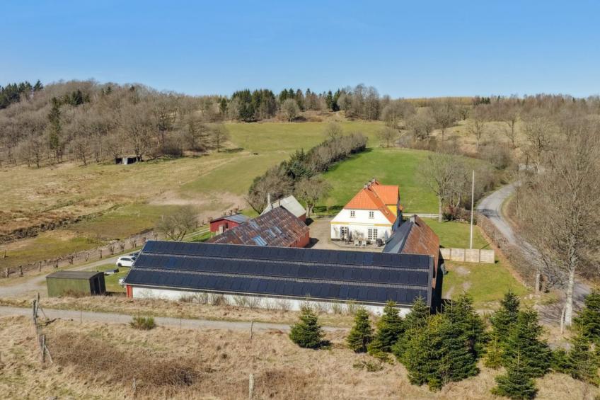 "Elisabetha" - 16km from the sea in SE Jutland - foto 76