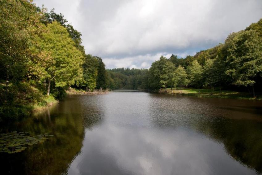 La Source des Bois - foto 22