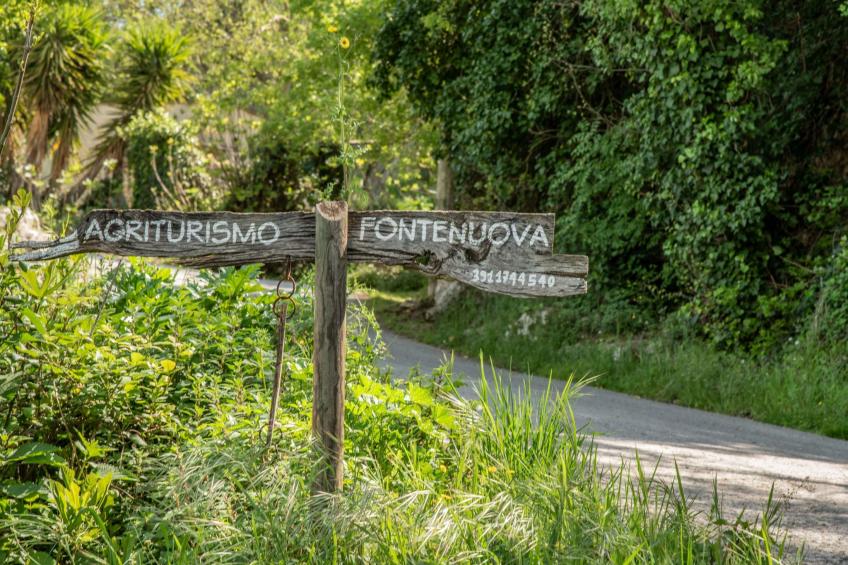 in Saturnia, Toskana - foto 19
