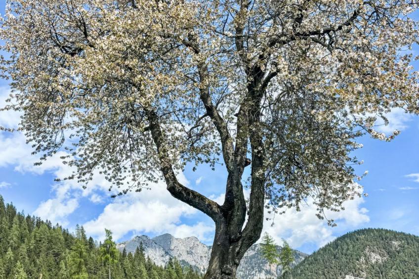 Ferienwohnung Christoph - foto 21