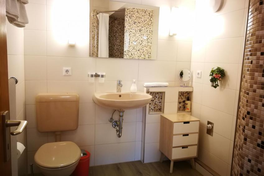 Apartment Gala, ruhige Lage, stadtnah - foto 5