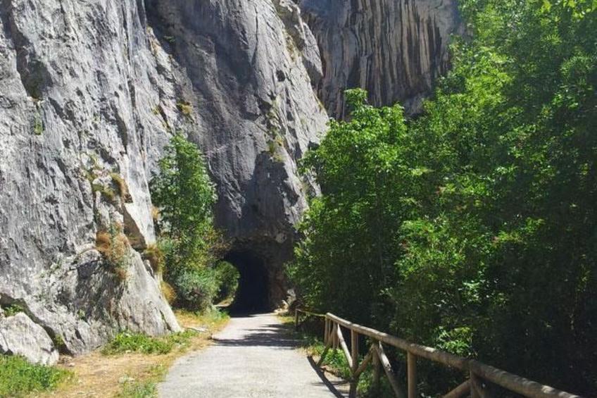 Ländliches Haus La Carrozal Senda del Oso - foto 46