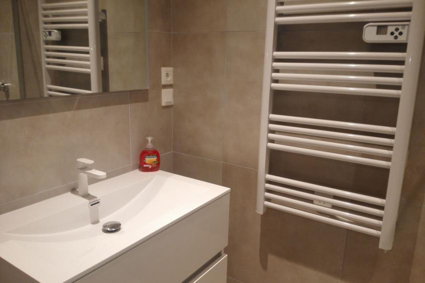 Privathof Barbecue Stadtzentrum Voltaire - foto 11