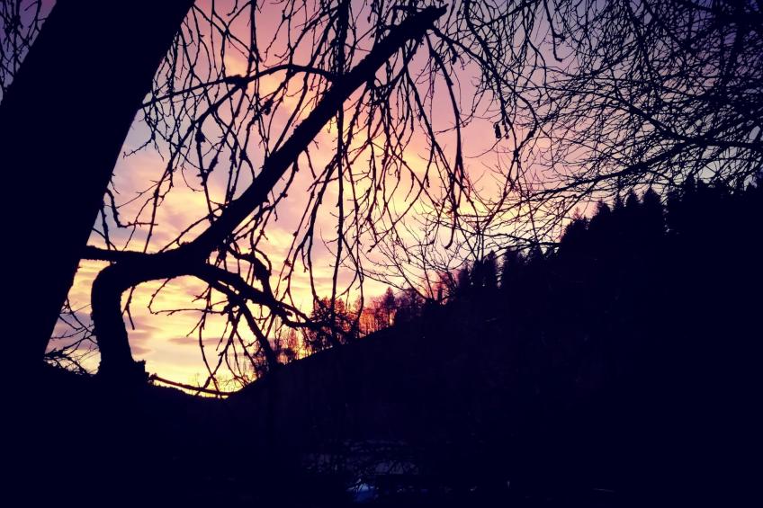 Emmental Ferien - foto 42