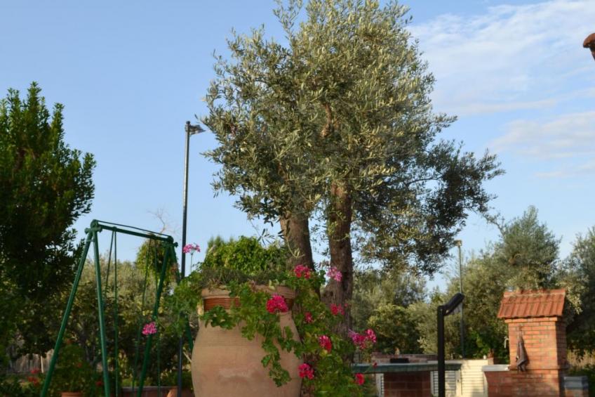 direkt am Strand - foto 4
