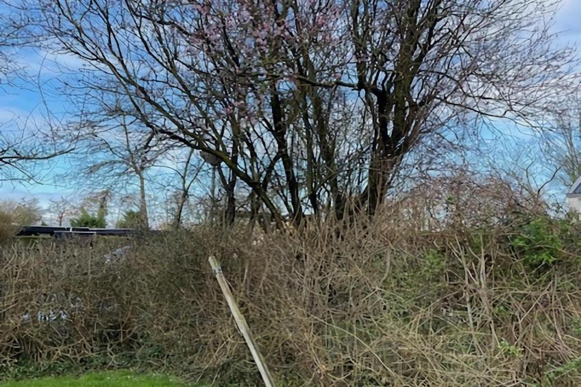 De Reker Zon - foto 35