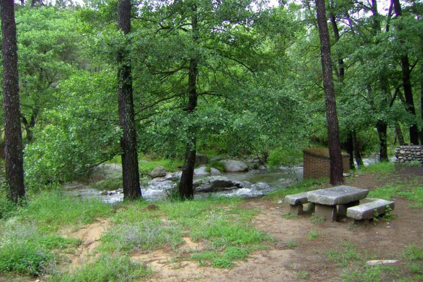 Touristenwohnung "Laura - foto 12