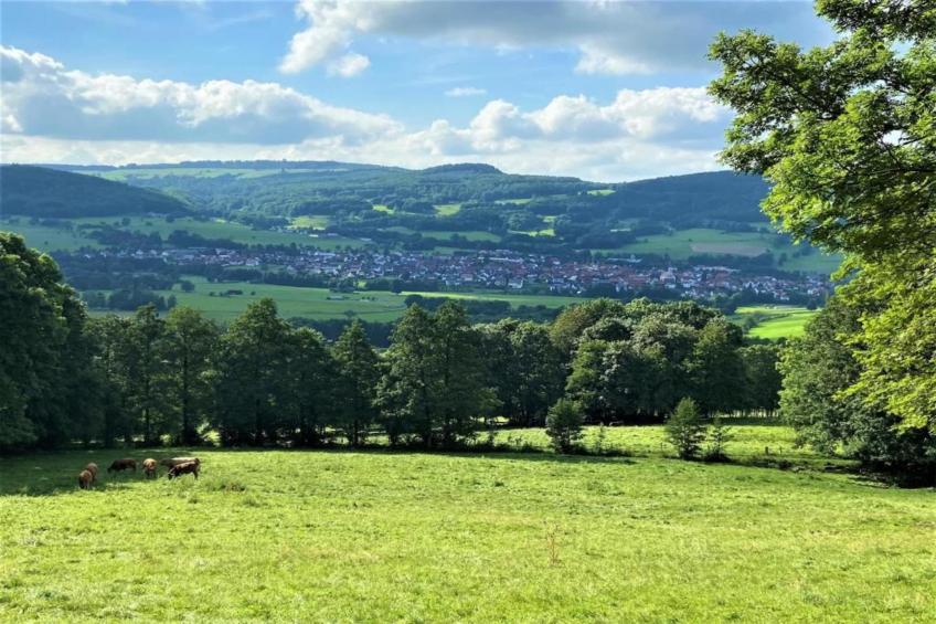 Hohe Rhön - foto 33