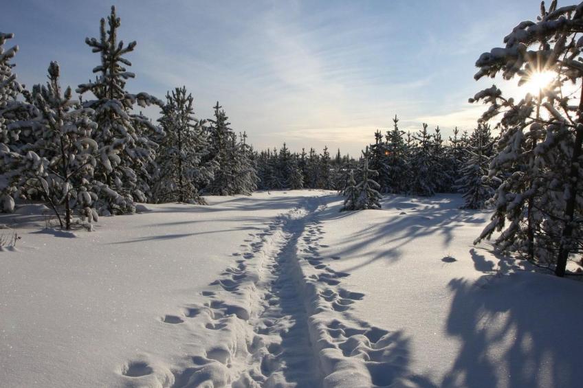 Charmantes Blockhaus, Sauna und Kamin - foto 26