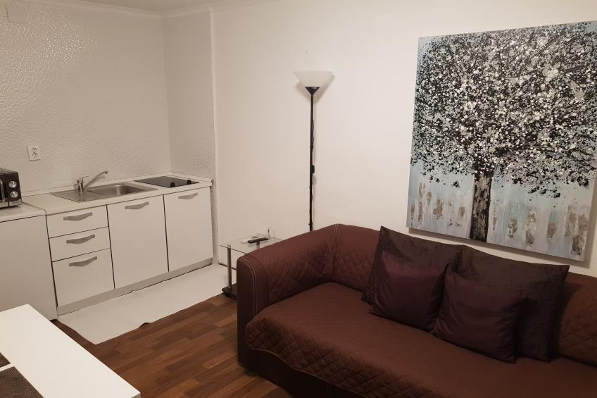 Apartments Minerva - Superior One Bedroom Apartment (A3) - foto 2