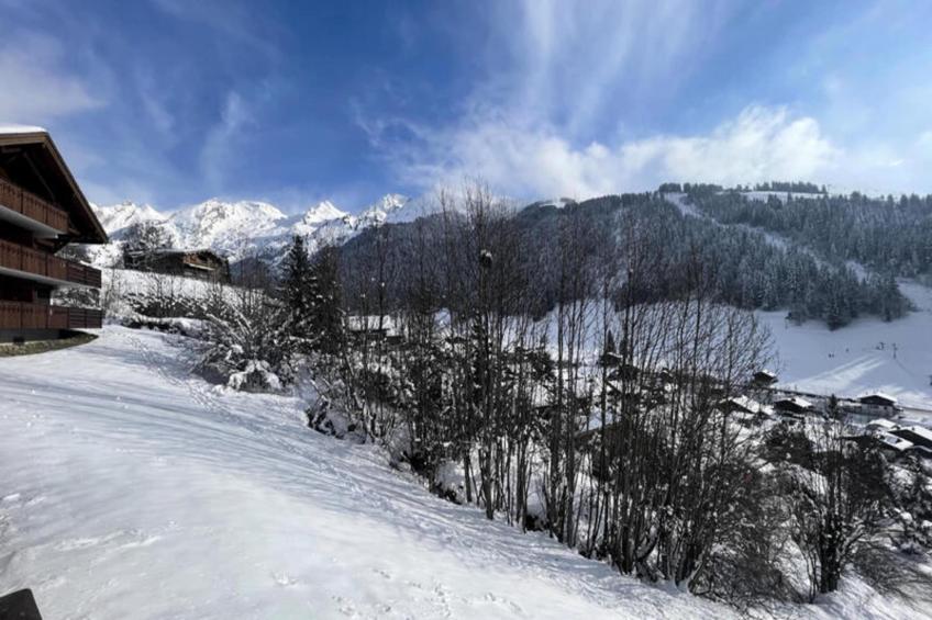 Appartements à La Clusaz - foto 27