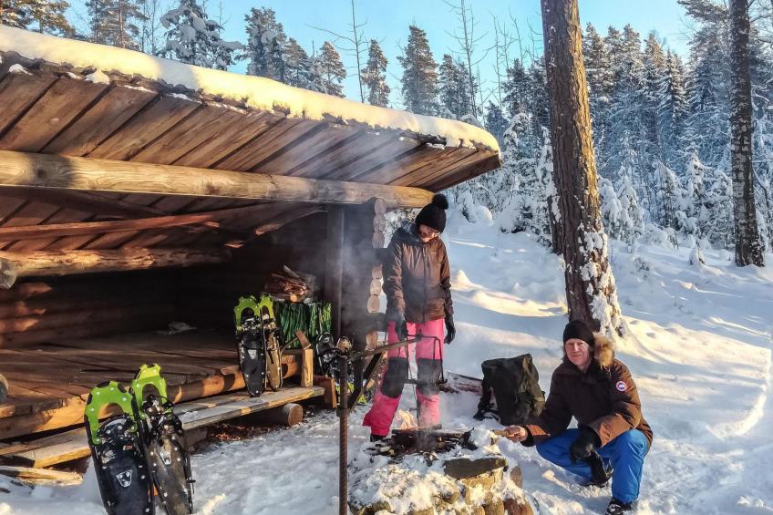 Kalliokoivu - foto 19