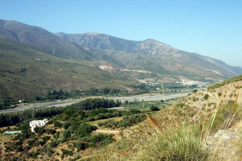 Eine Oase der Ruhe mitten in der Stadt - foto 40
