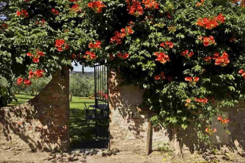 flach "Giaggioli capponi - foto 24