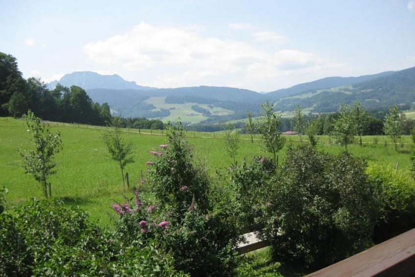 137519 - foto 3