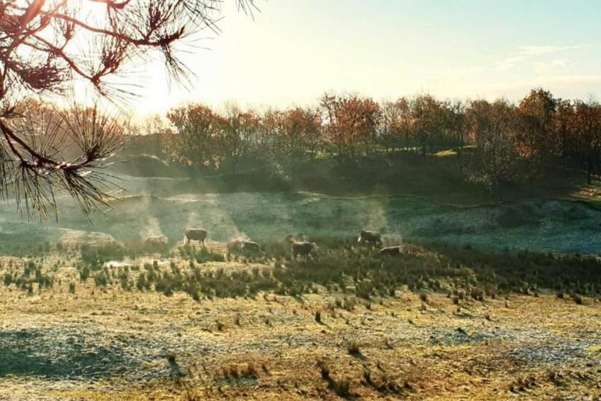 Résidence Wijngaerde - foto 29