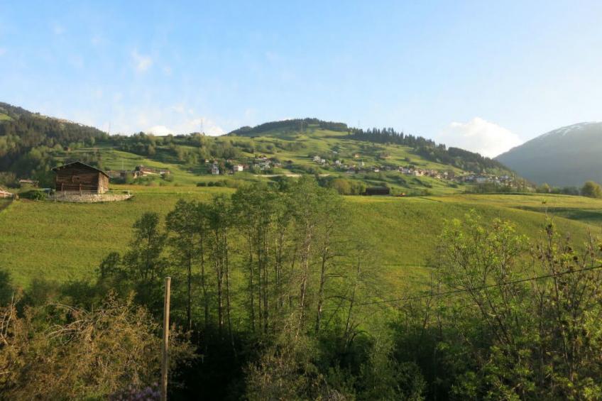 Ferienhaus Mulin Vegl Sprecher, Waltensburg, (Waltensburg/Vuorz), 58001B - foto 18