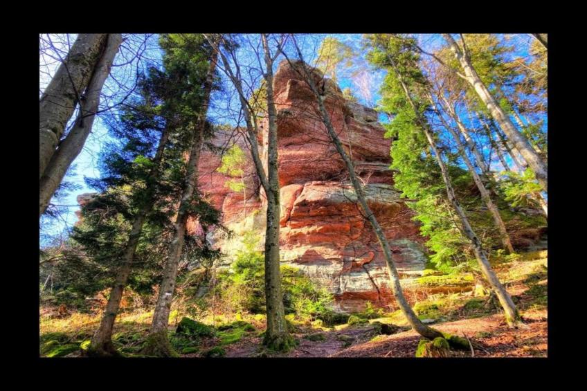 Gîte "Au bord de l'Eau " - foto 26