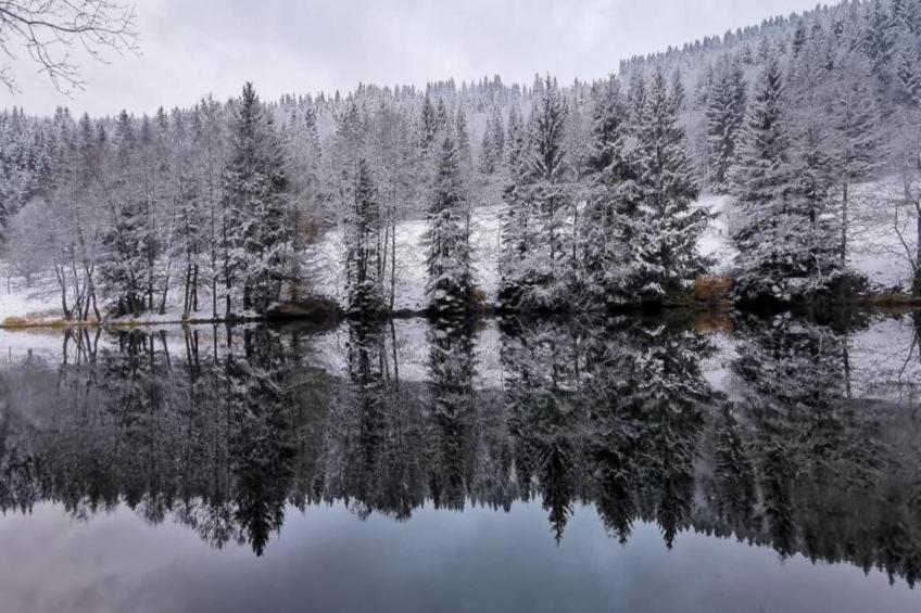 Thüringer Wald - foto 21