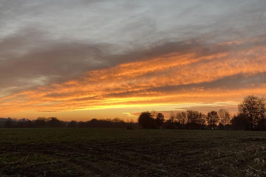 Exklusives Ferienhaus mit Terrasse und Garten - foto 46