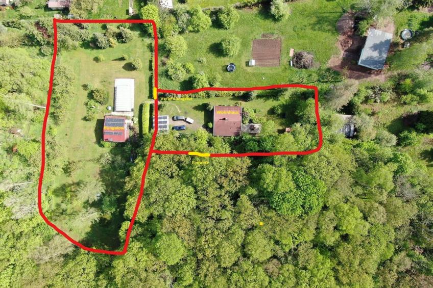 Buchengrund - foto 19