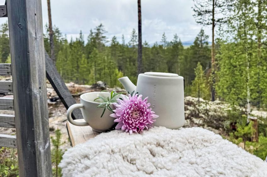 Kringelfjorden Renen - foto 29