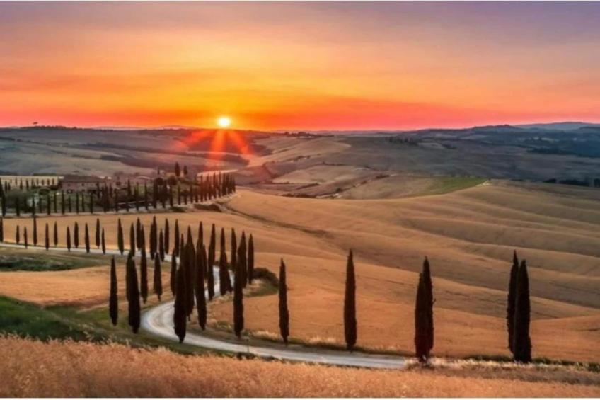 Green Eden - foto 38