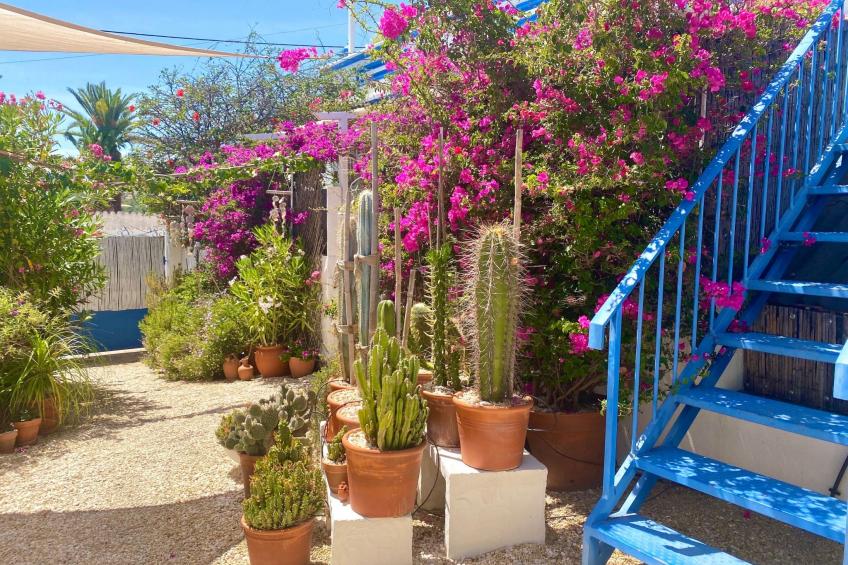 Vila Verão Nur für Erwachsene - foto 15