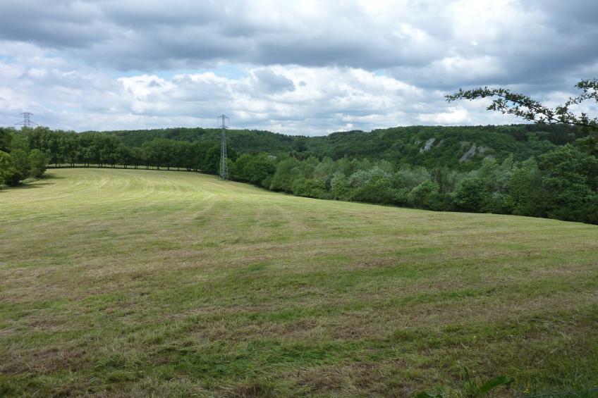 Domaine De L'Ecureuil 3 - foto 18